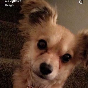 Meet your Posher, Michele