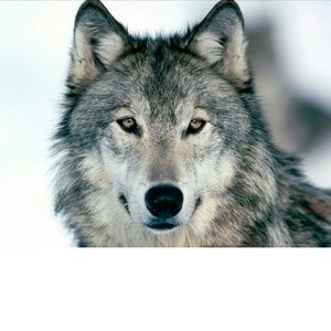 Meet your Posher, Kaitlyn