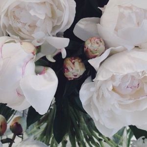 Meet your Posher, Grace