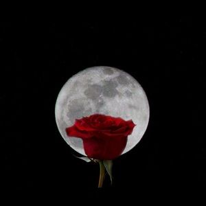 Meet your Posher, Cindra