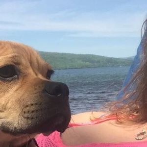 Meet your Posher, Maggie