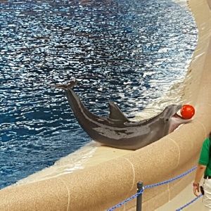 Meet your Posher, Desiree