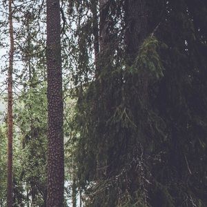 Meet your Posher, Mariana