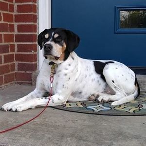 Meet your Posher, Jenny