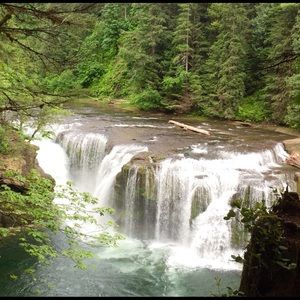 Meet your Posher, Julie