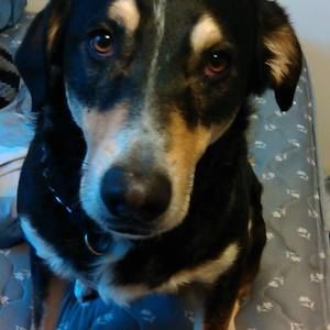 Meet your Posher, Robyn