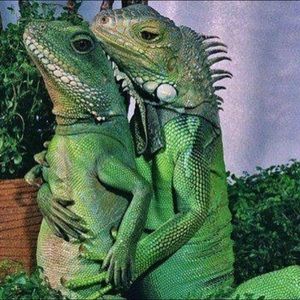 Meet your Posher, Jeff