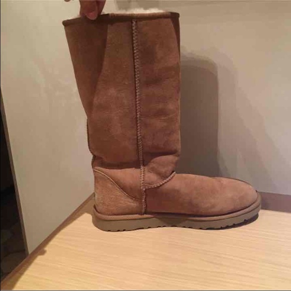 Tall light brown uggs