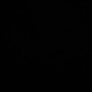 Meet your Posher, Joyce