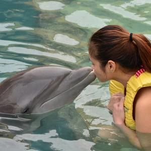 Meet your Posher, Katrina