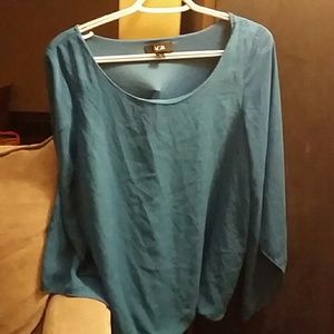 Sheer Sleeved Blouse