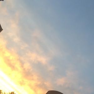 Meet your Posher, Saadia