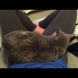 Meet your Posher, Meghan