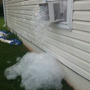 Meet your Posher, Freida