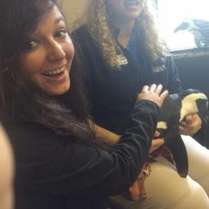 Meet your Posher, Taylor