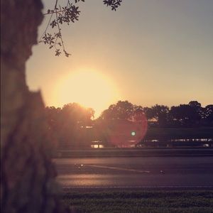 Meet your Posher, Alana