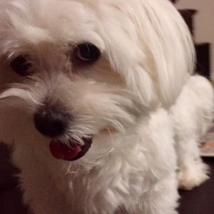 Meet your Posher, Cecile