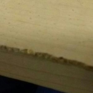 Meet your Posher, Pat