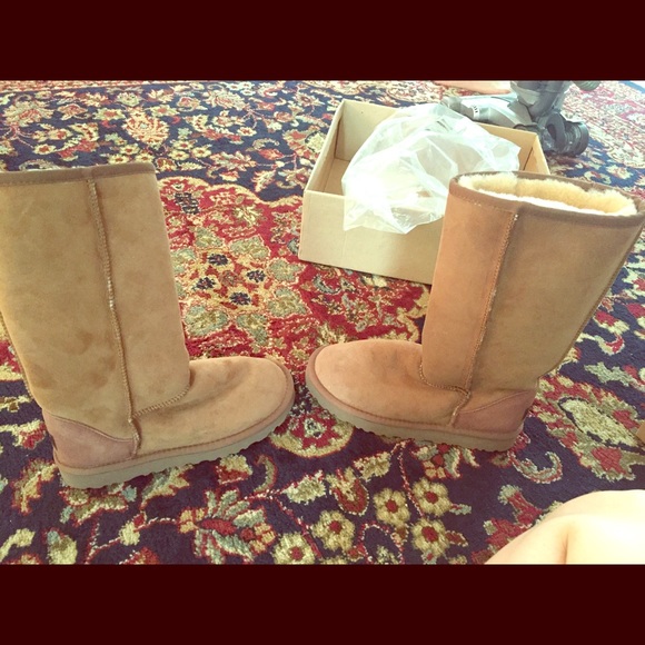 Classic tall uggs