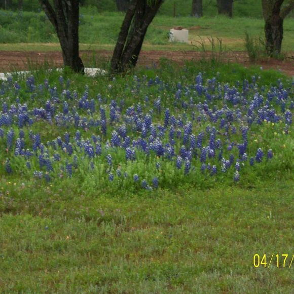 Meet your Posher, Sue