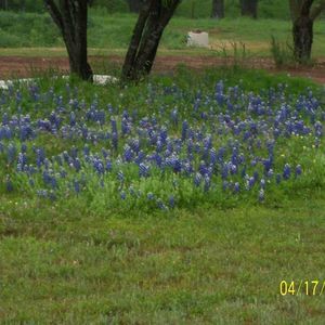 Meet your Posher, Sue
