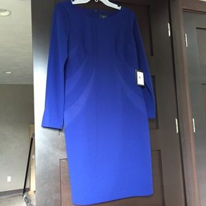 Adrianna Papell Blue Contrast Dress