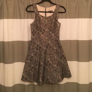 Express lace skater dress