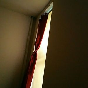 Meet your Posher, Daisy