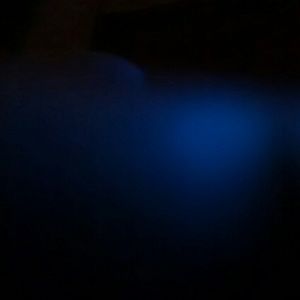 Meet your Posher, Danny