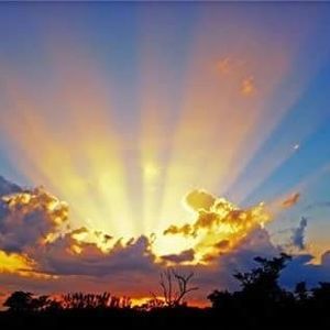 Meet your Posher, Bonnie