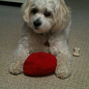 Meet your Posher, Carol