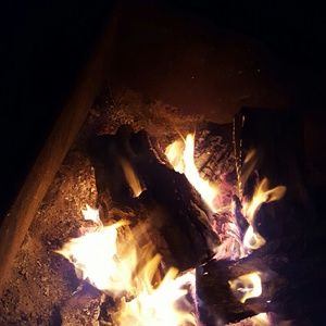 Meet your Posher, Katelyn