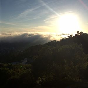 Meet your Posher, Serena