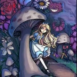 Meet your Posher, Fatima