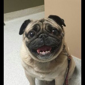 Meet your Posher, Barbara ann