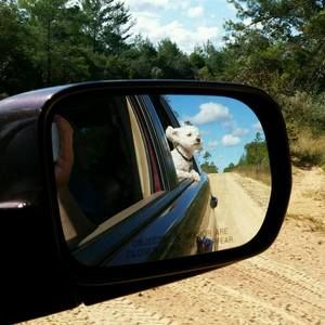 Meet your Posher, Rene