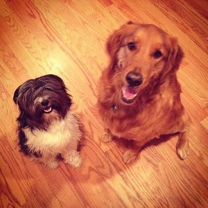 Meet your Posher, Margaret