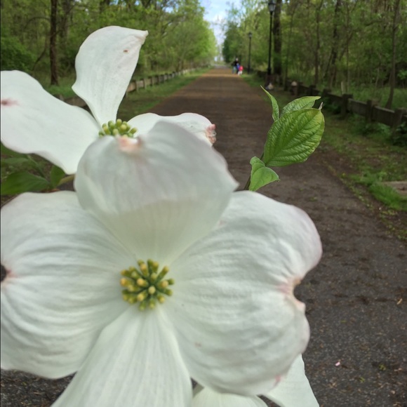 Meet your Posher, Madeline