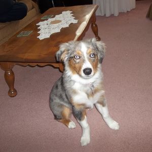 Meet your Posher, Marcie