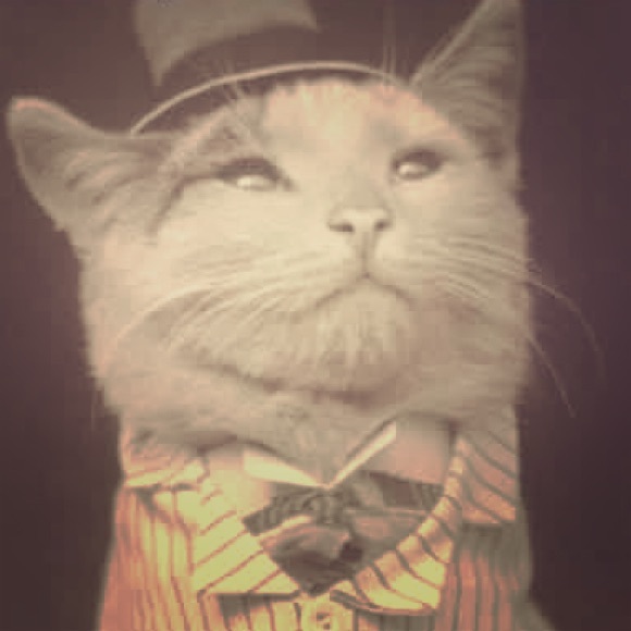 Meet your Posher, Bethany - Picture 1 of 1