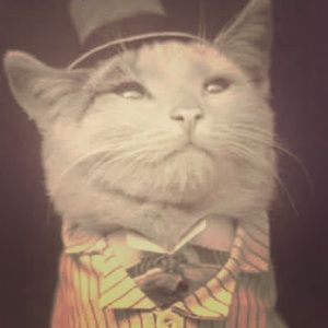 Meet your Posher, Bethany