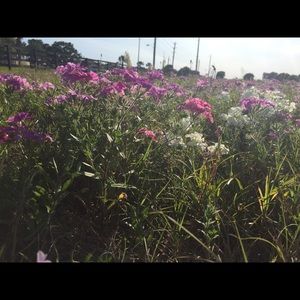 Meet your Posher, Jillian