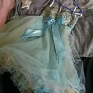 Blue/Pink Tule Dress