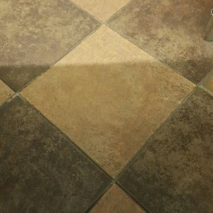 Meet your Posher, Fran