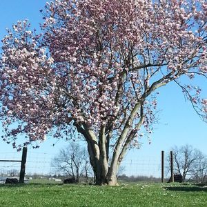 Meet your Posher, A broke