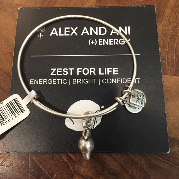Alex and Ani Jewelry - Alex and Ani Zest for Life bracelet in silver🍋