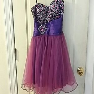 Pink/Purple Dress