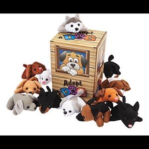 Meet your Posher, Hayley