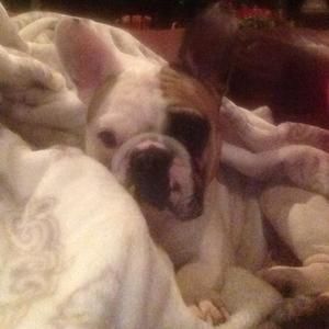 Meet your Posher, Tammy