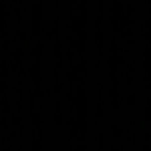 Meet your Posher, Bailey